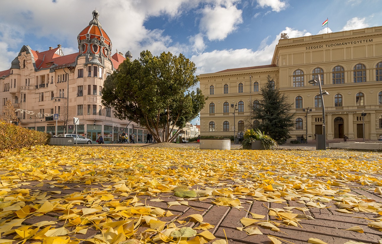 szeged osz